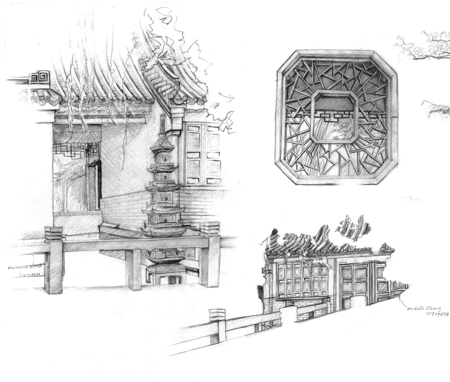 Chinese Garden Illustrations - Feature Image