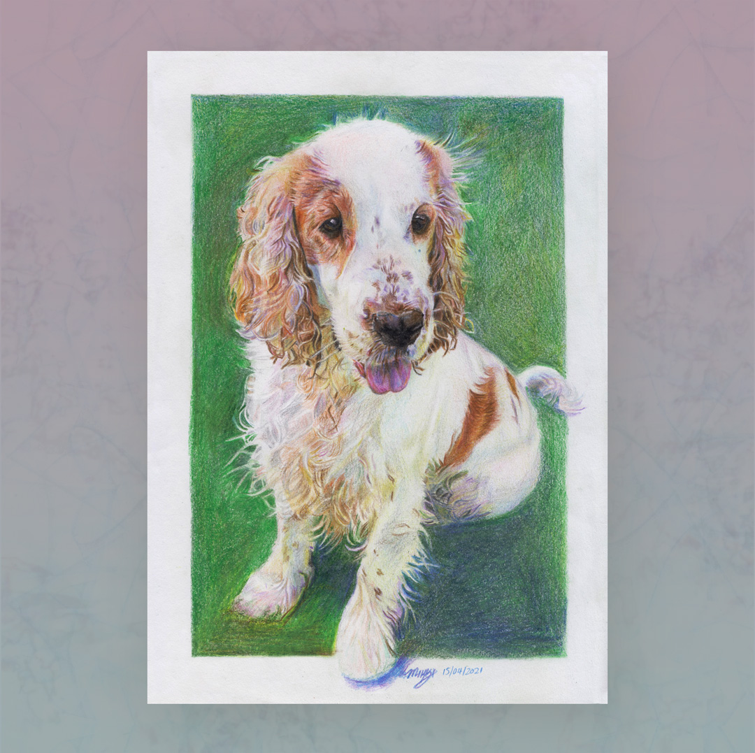 Colour pencil illustration of Mina the puppy by Karmaela